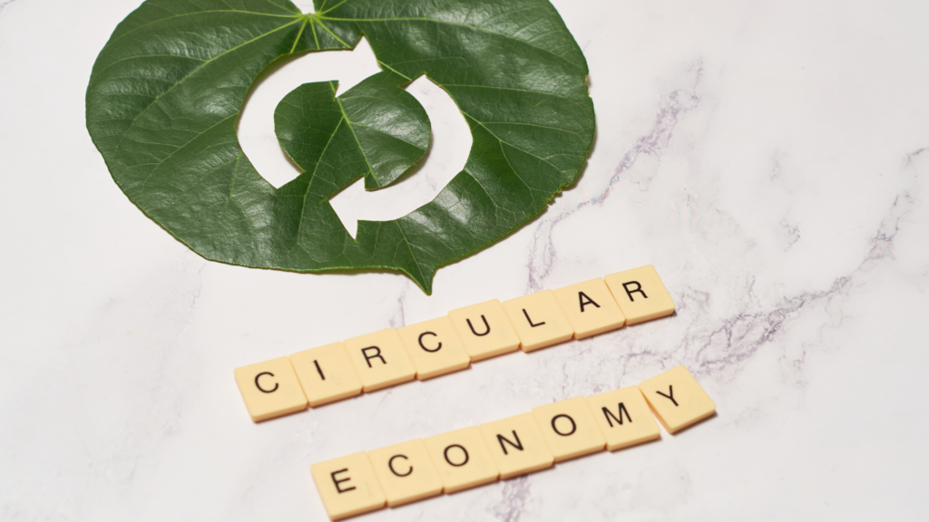 Circular Economy Action Plan