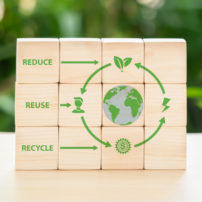 Circular Economy Action Plan Europe’s Path to Sustainability